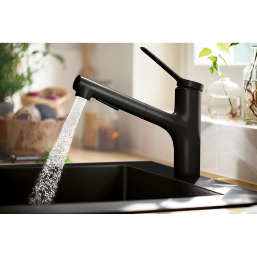 Hansgrohe Zesis Pull Out Kitchen Faucet & Reviews | Wayfair